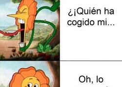 Enlace a Pido perdón