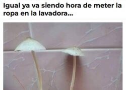 Enlace a Creo que ya toca