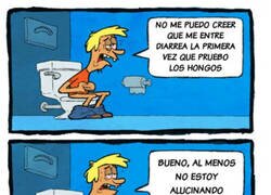 Enlace a Hongos indigestos