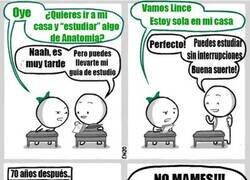 Enlace a Cuando te das cuenta