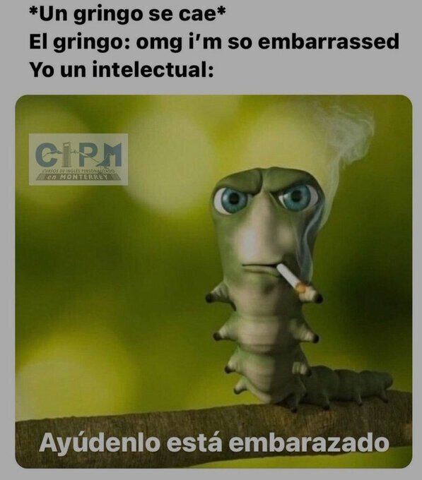 Meme_otros - Yo todo un poliglota