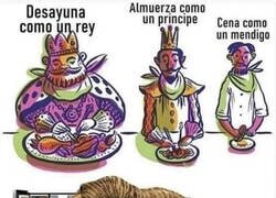 Enlace a Así me alimento yo