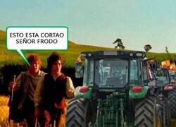 Enlace a Meme de San Valentín 2024