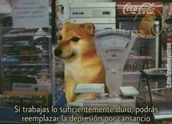 Enlace a Y así es mi vida