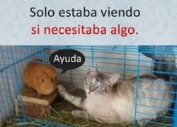 Enlace a Justo a tiempo