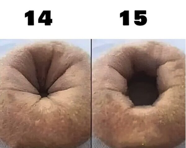 Otros - Quién entendió, entendió