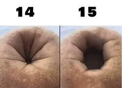 Enlace a Quién entendió, entendió