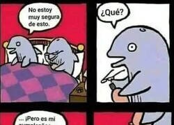 Enlace a Fetiche marino