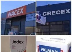 Enlace a El ciclo de la vidax