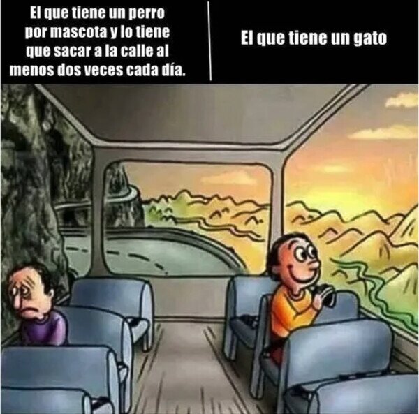 Otros - No hay animal más independiente