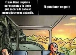 Enlace a No hay animal más independiente