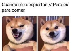 Enlace a Entonces sí