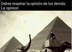 Enlace a Las opiniones son como los culos, hay algunos muy feos