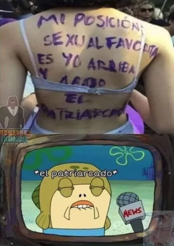 Meme_otros - Al Patriarcado le gusta esto