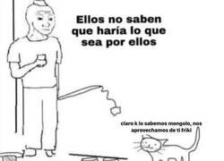 Enlace a Ellos lo saben bien