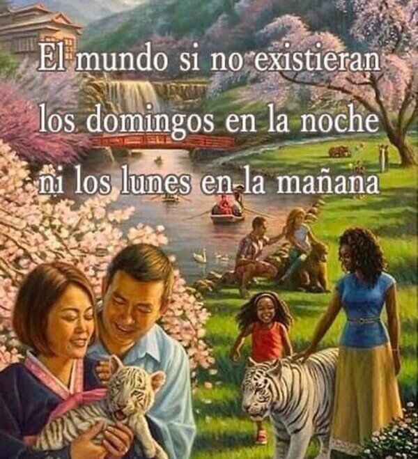 Meme_otros - Un mundo ideal