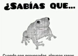 Enlace a Mecanismo de defensa