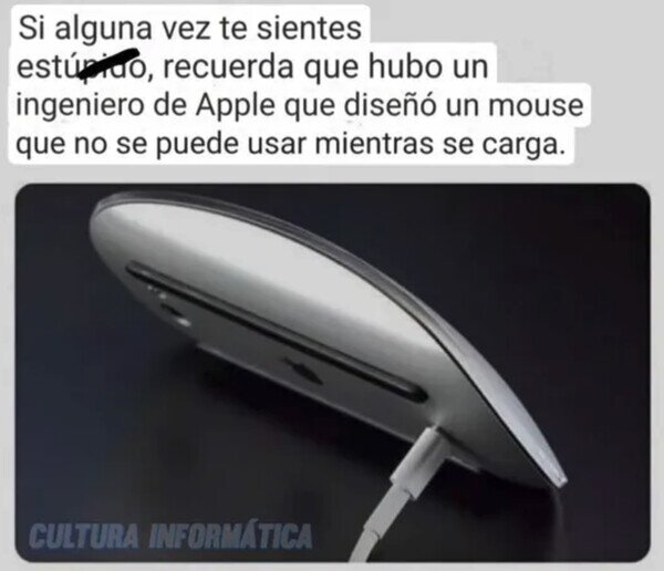 Meme_otros - Obra de un genio