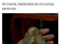 Enlace a Soy un dormilón