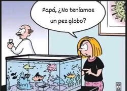 Enlace a ¿Qué ha pasado aquí?