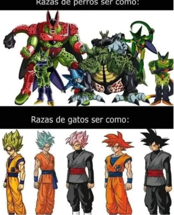 Meme_otros - Tal cual