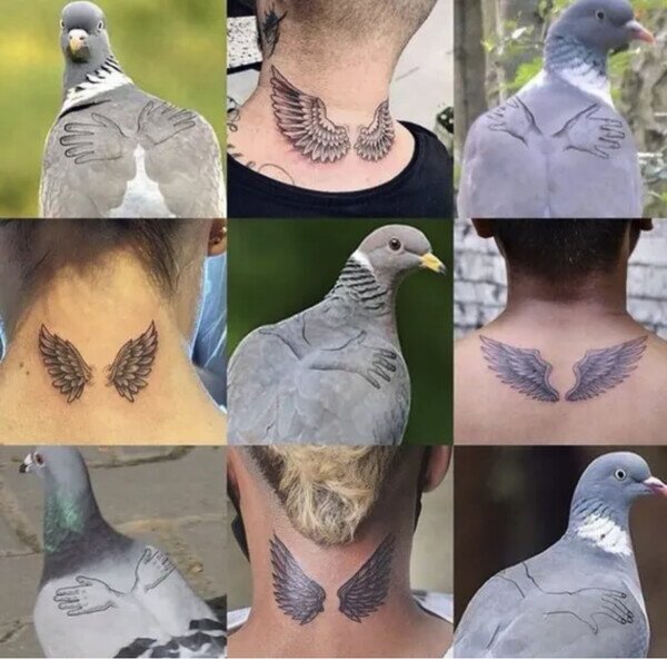 Otros - Supongo que los pájaros llevarán estos tatuajes