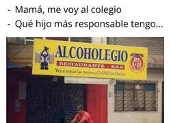Enlace a Alcoholegio