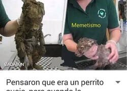 Enlace a Descubrimiento