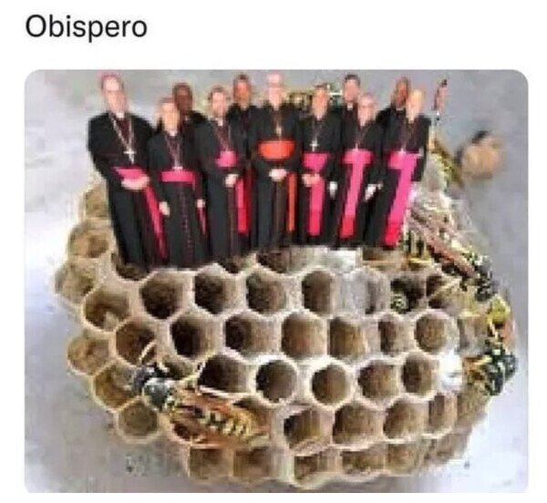 Meme_otros - La tontería del día
