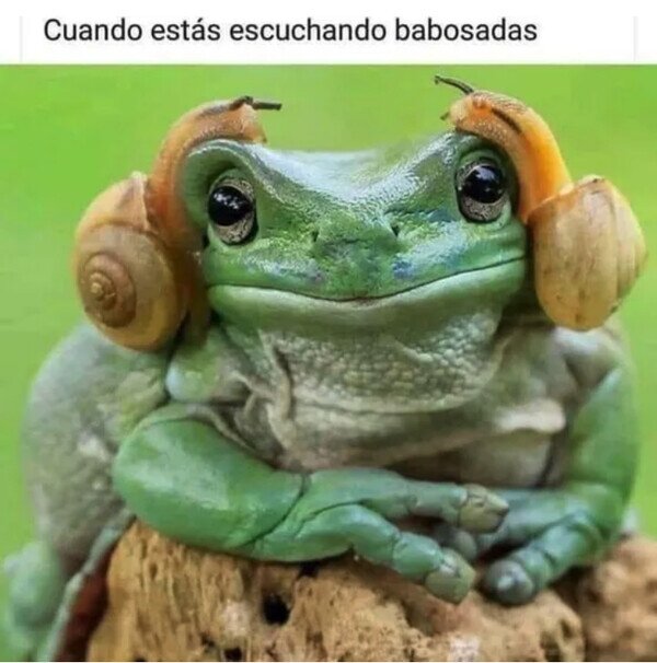 Meme_otros - Escuchando babosadas