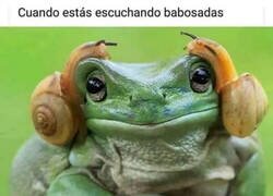 Enlace a Escuchando babosadas