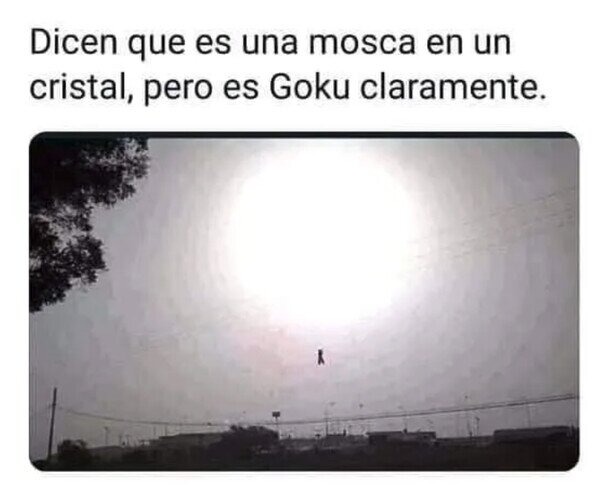 Otros - Me gusta pensar que es Goku