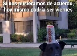 Enlace a Si nos pusiésemos de acuerdo