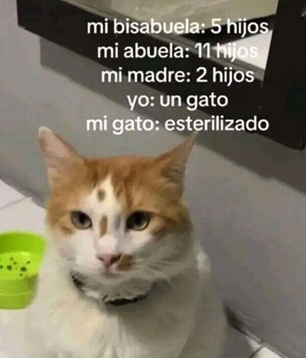 Otros - Los seres vivos a mi cargo