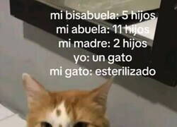 Enlace a Los seres vivos a mi cargo