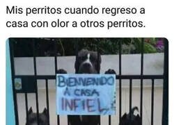 Enlace a No perdonan