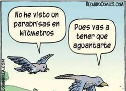 Enlace a Se lo guardan