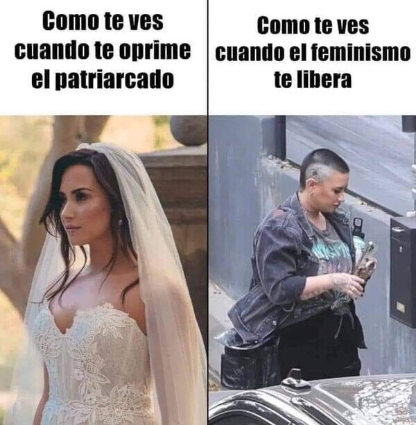 Meme_otros - Demi, ¿qué te ha pasasdo?