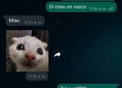 Enlace a ¿Qué esperabas?