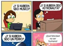Enlace a Ojalá ser un perro