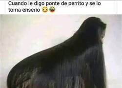 Enlace a Se lo tomó demasiado en serio