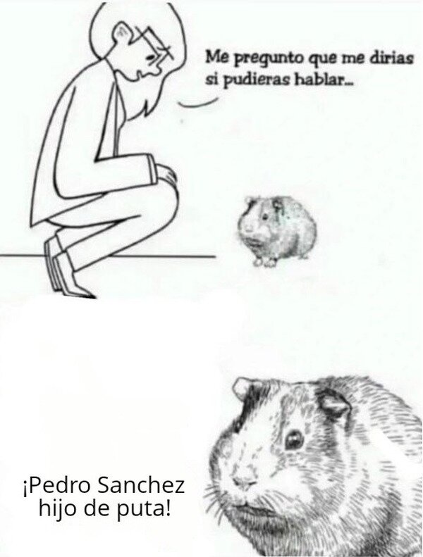 Meme_otros - Si pudieran hablar