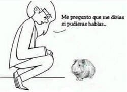 Enlace a Si pudieran hablar