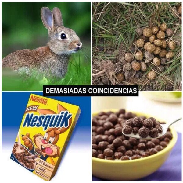 Meme_otros - A mí no me van a engañar