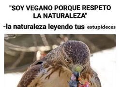 Enlace a La naturaleza es carnívora