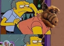 Enlace a Alf siempre vuelve