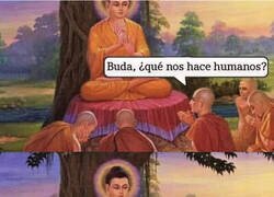 Enlace a Lo que nos humaniza