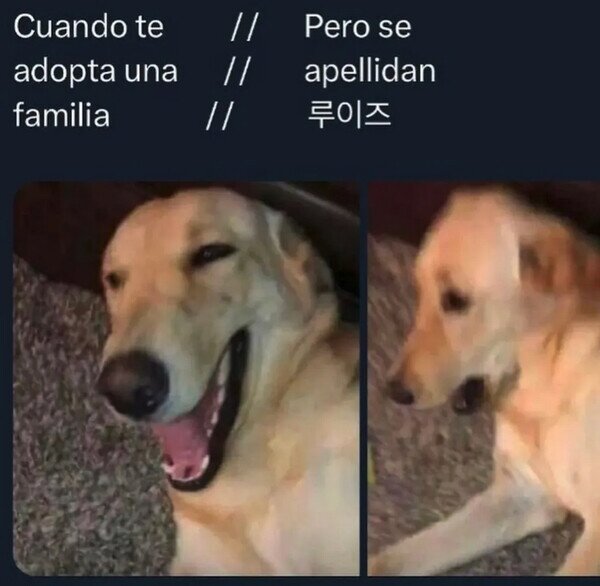 Meme_otros - Cuando no eres mascota, sino almuerzo