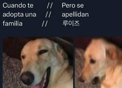 Enlace a Cuando no eres mascota, sino almuerzo