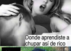 Enlace a Tengo mi práctica